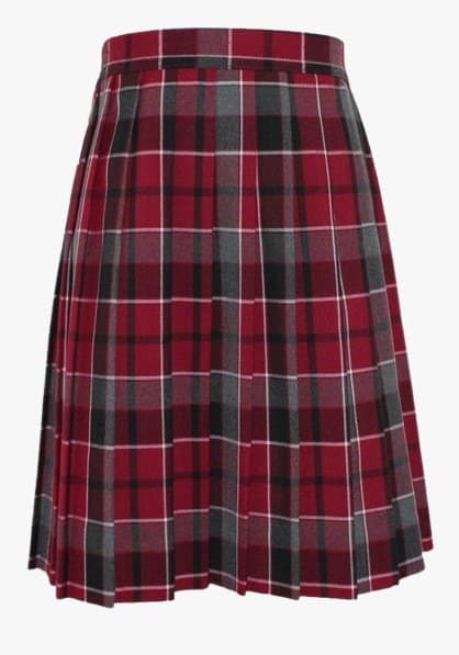 School Plaid Skirt